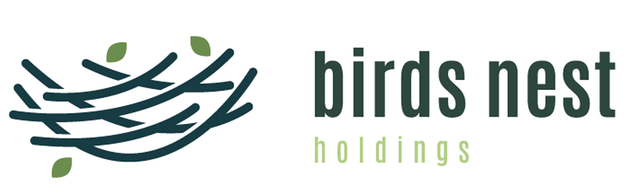 Birds Nest Holdings